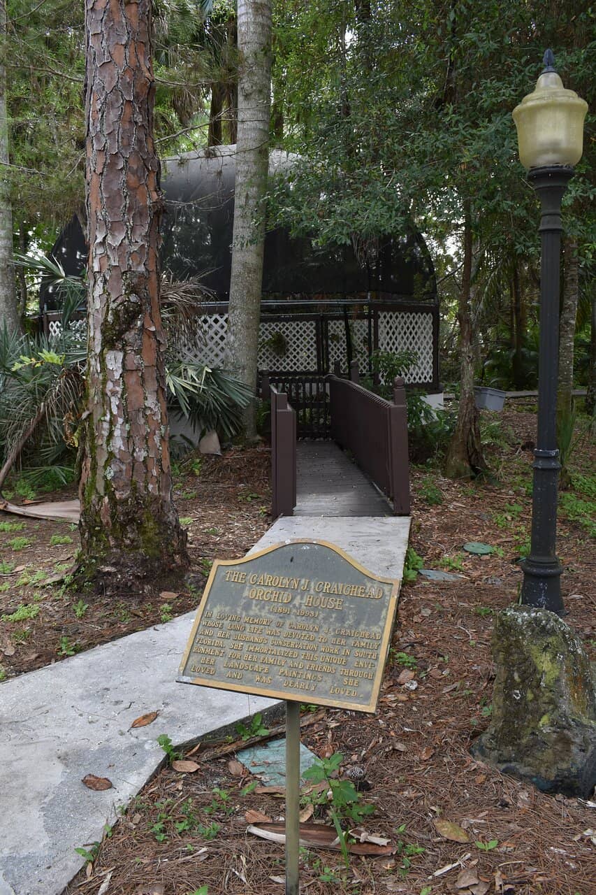 Naples' Churches
