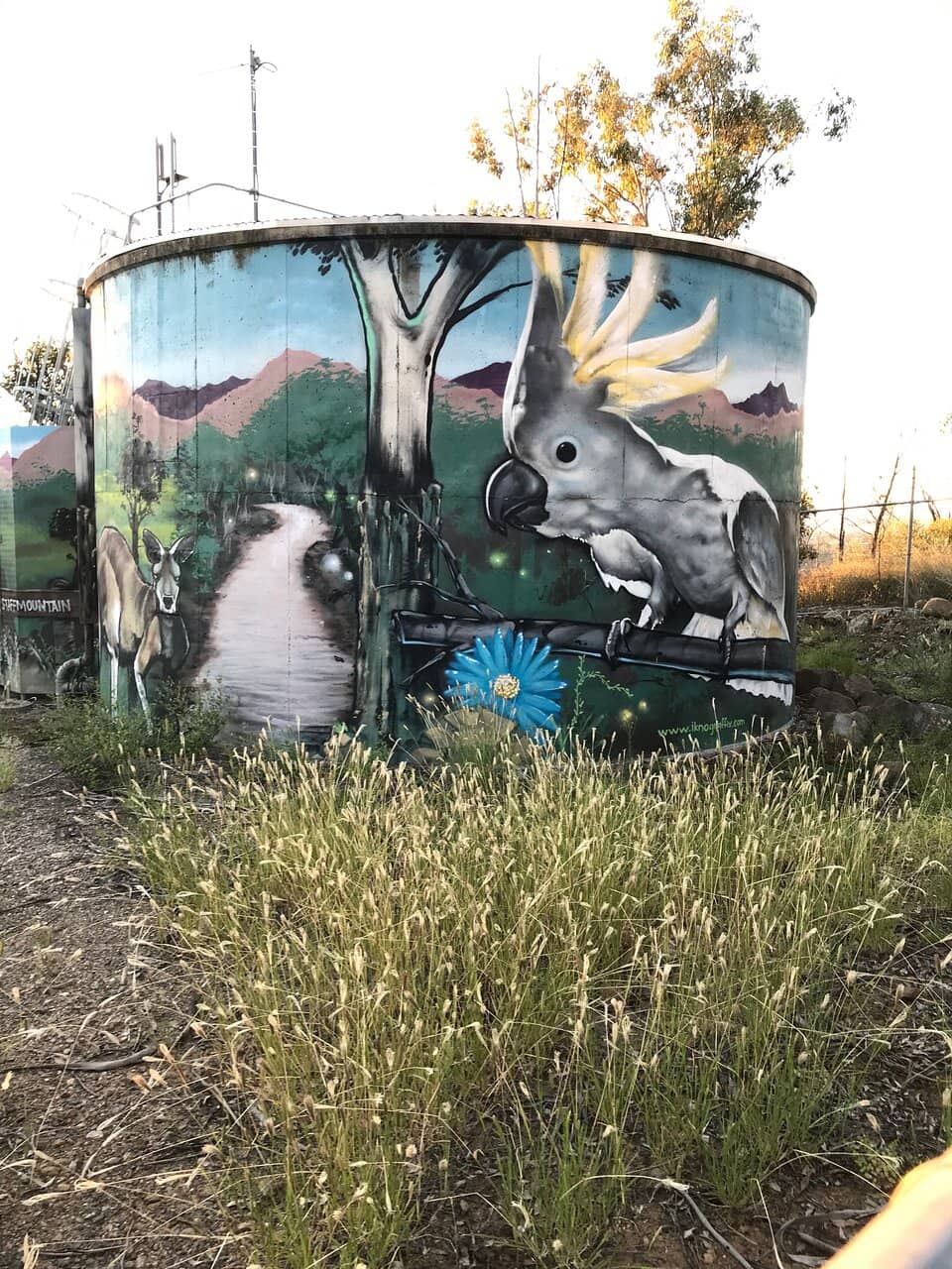 Diverse Flora and Fauna