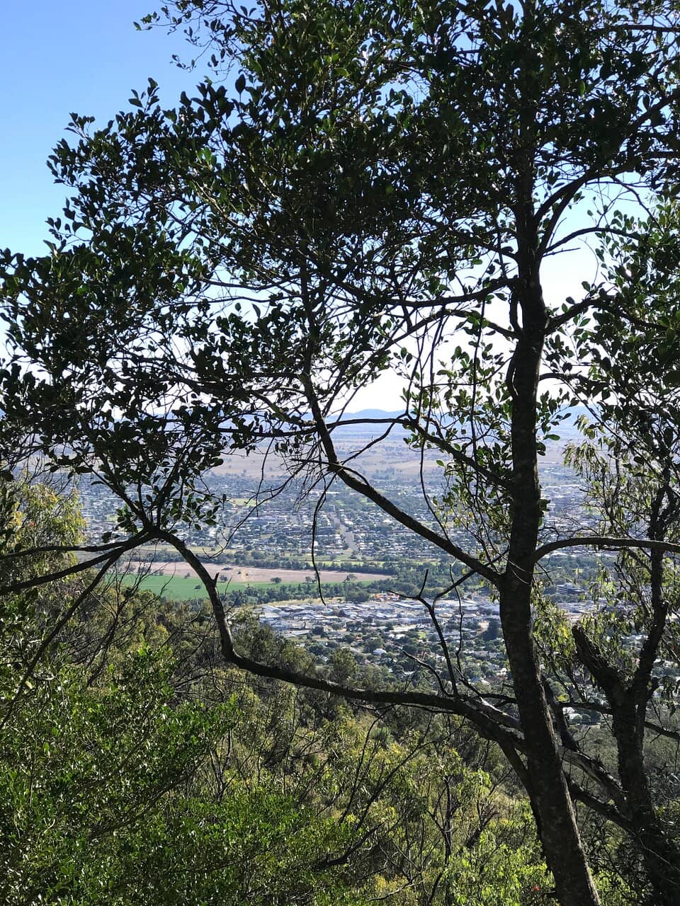 Panoramic Views