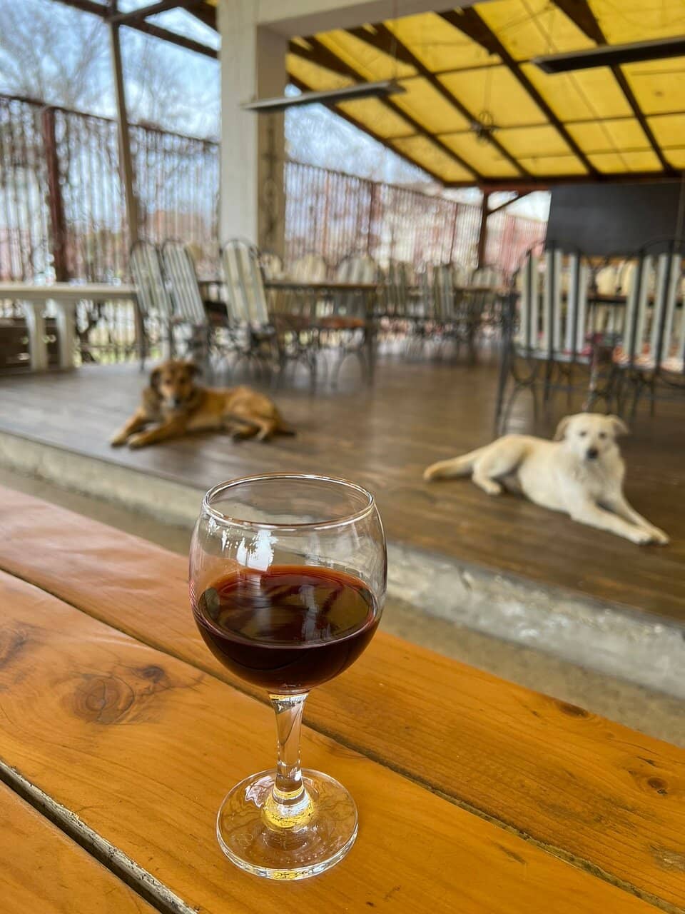 Nature's Reclamation