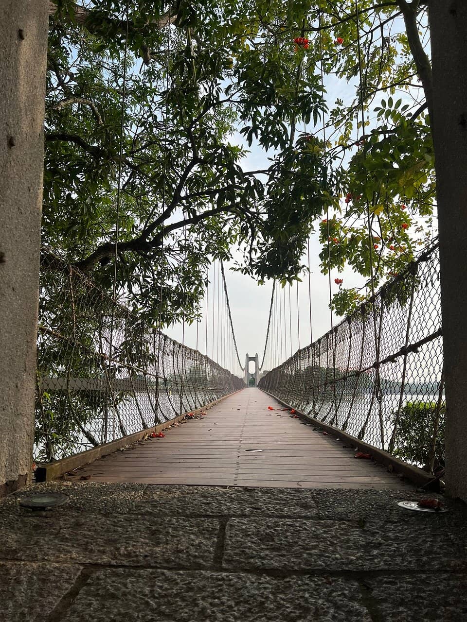 Vertical photo