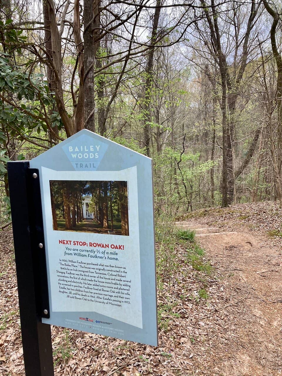 Peaceful Loop Walk