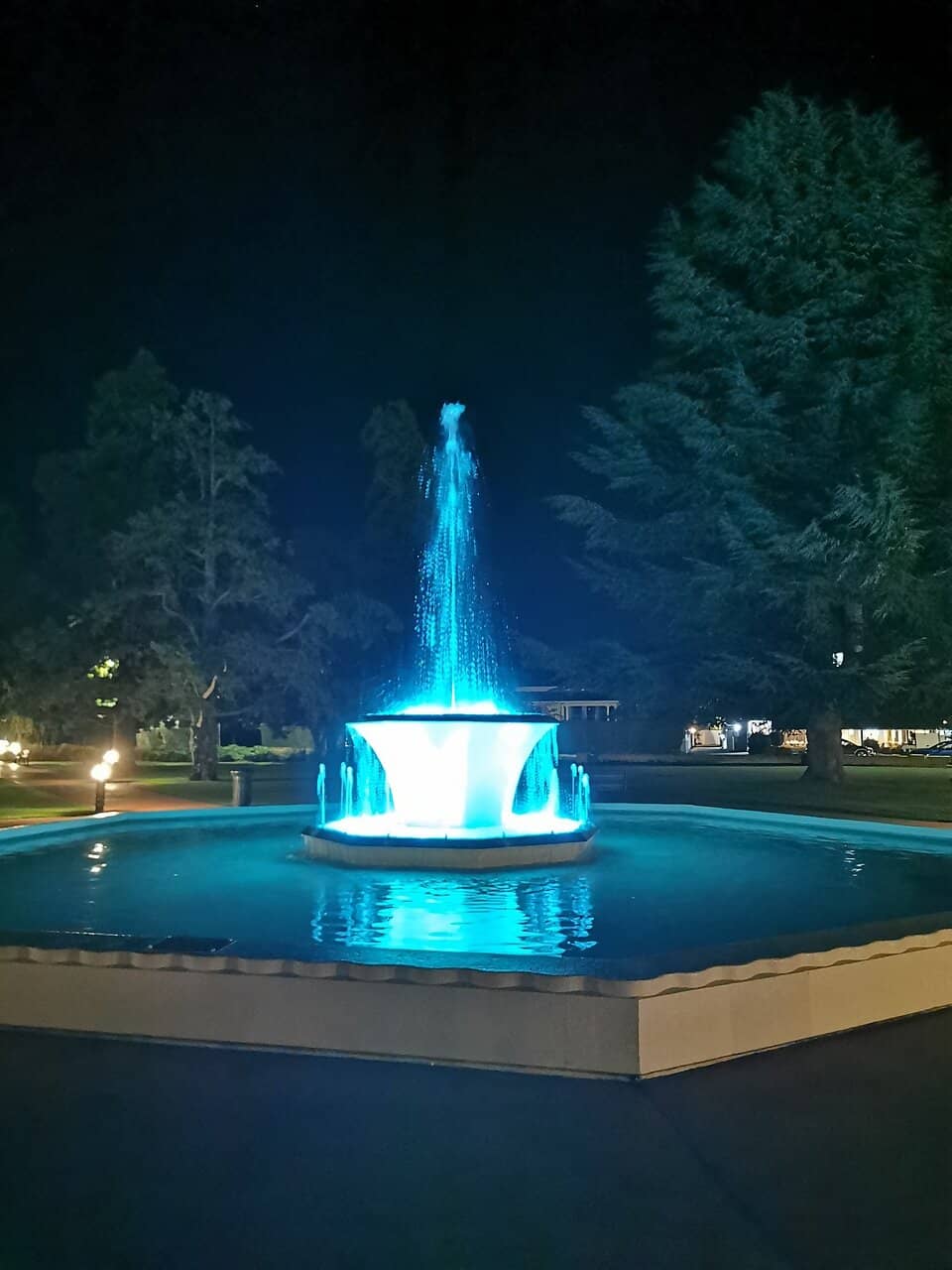 Vertical photo