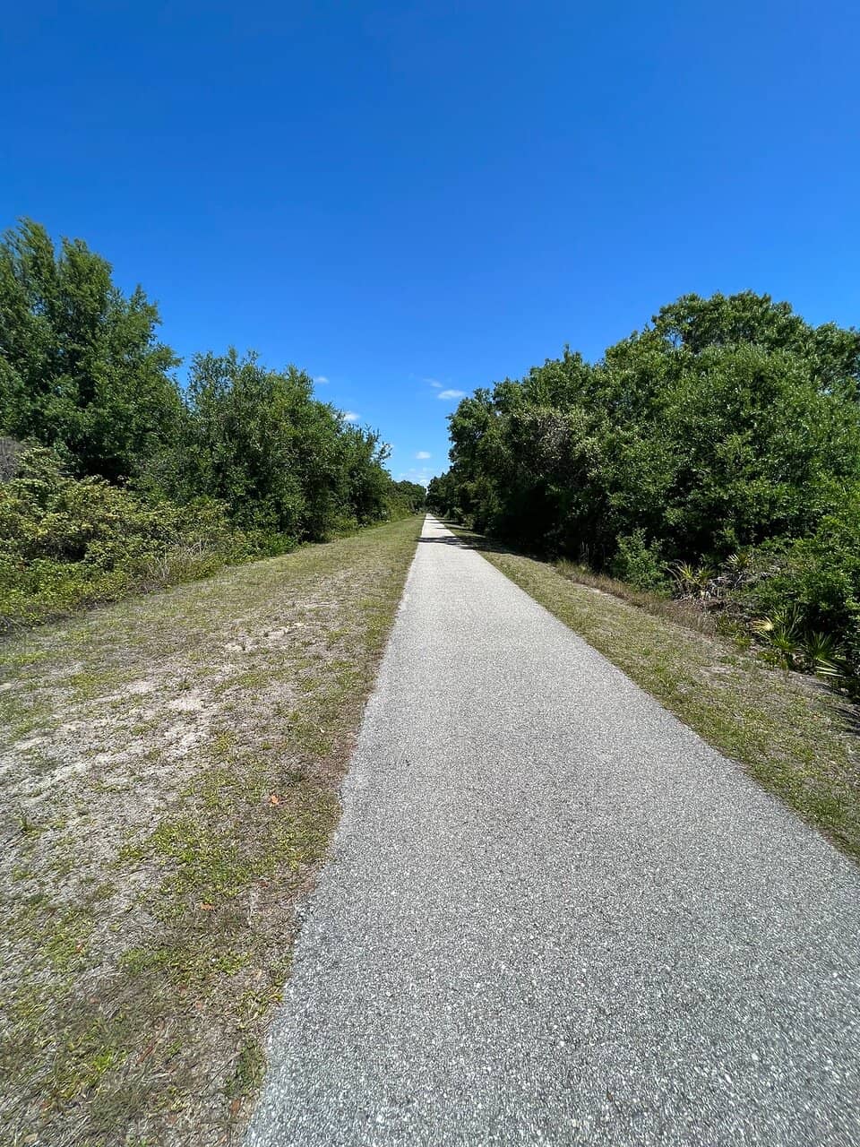 Abundant Wildlife Sightings