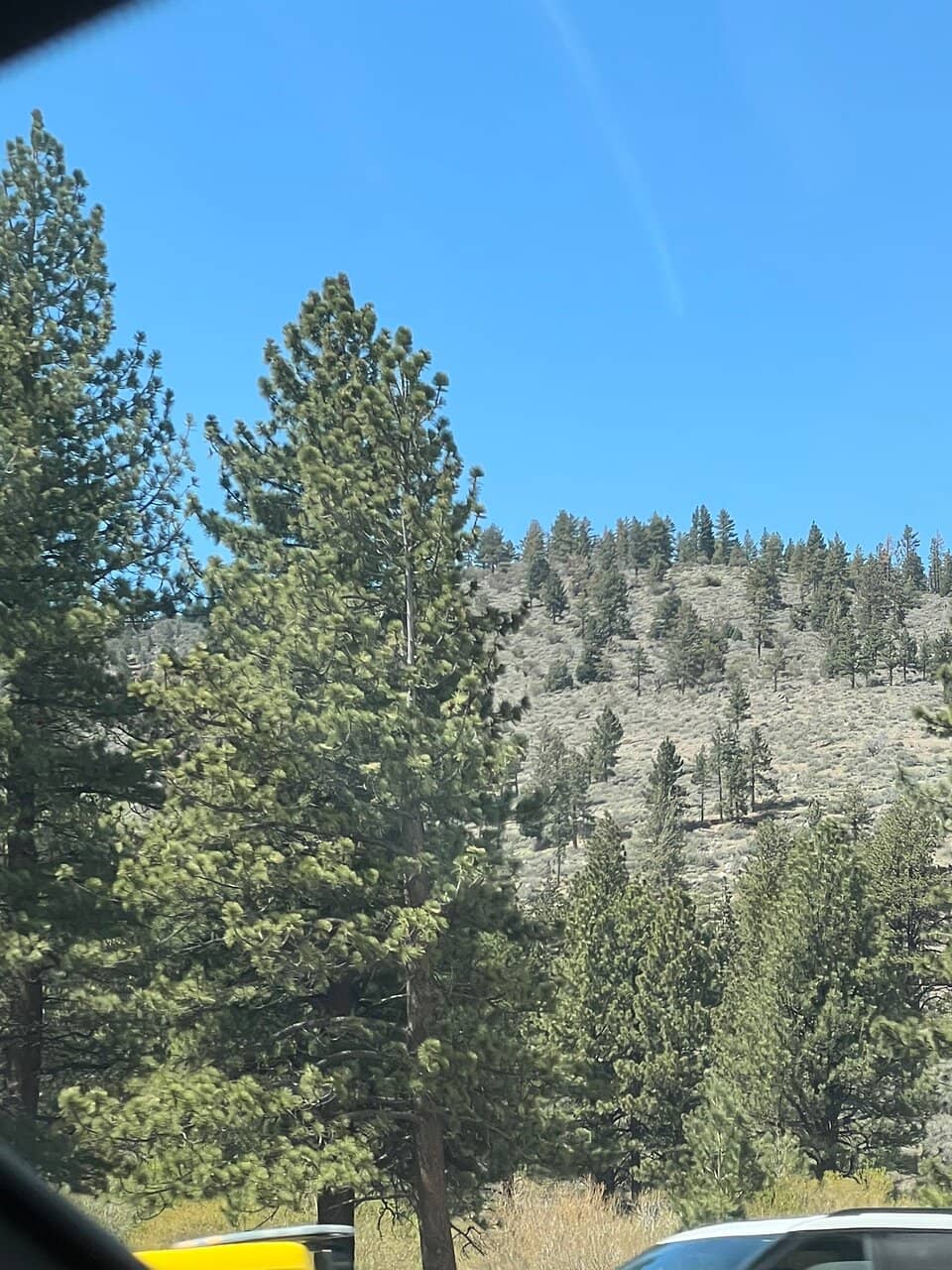 Vertical photo