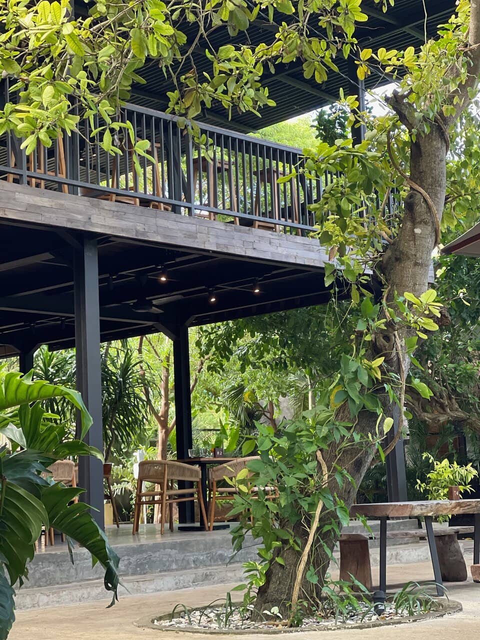 Elevated Indonesian Flavors