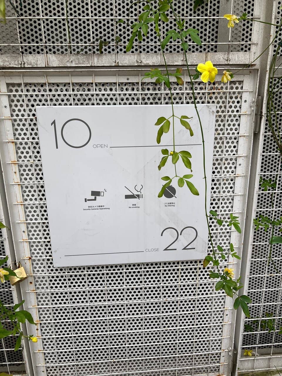 Diverse Dining Options