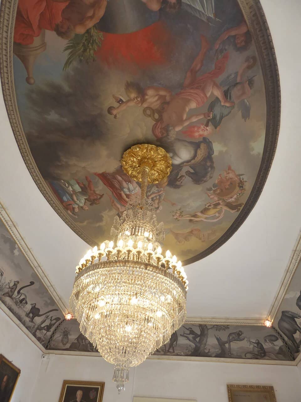 Oli Fontclara