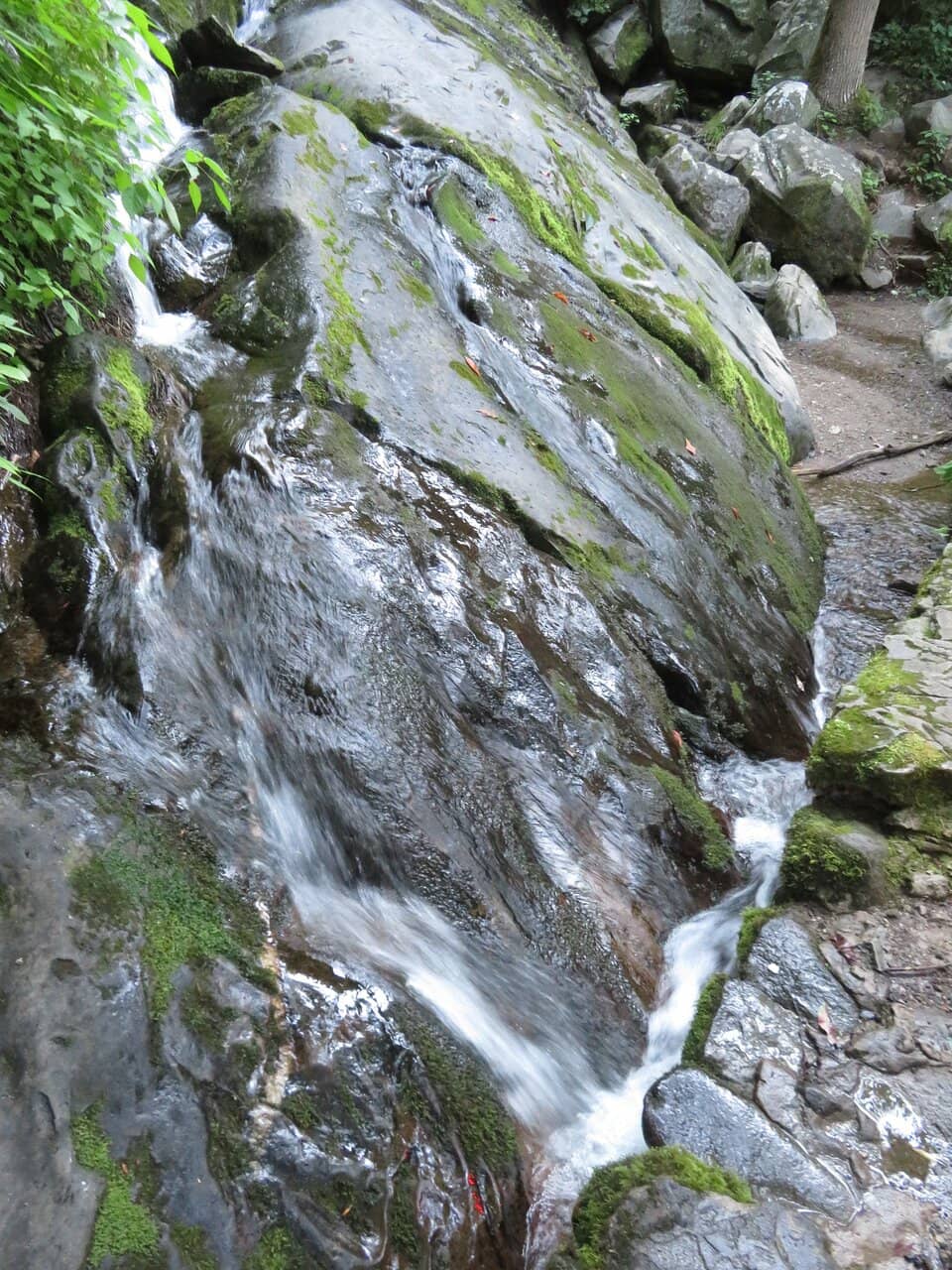 Scenic Roaring Fork Motor Nature Trail
