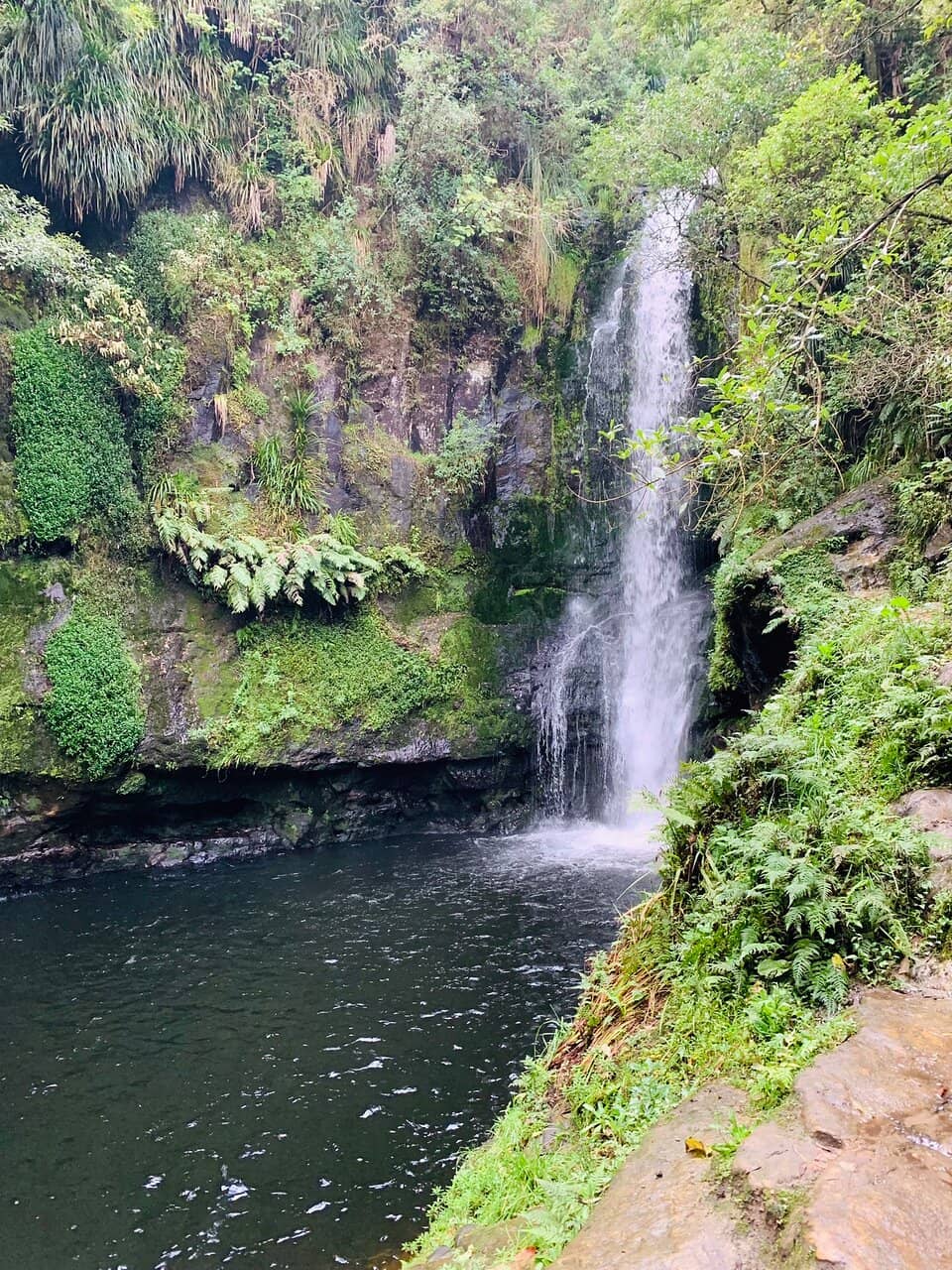 Swimming Hole