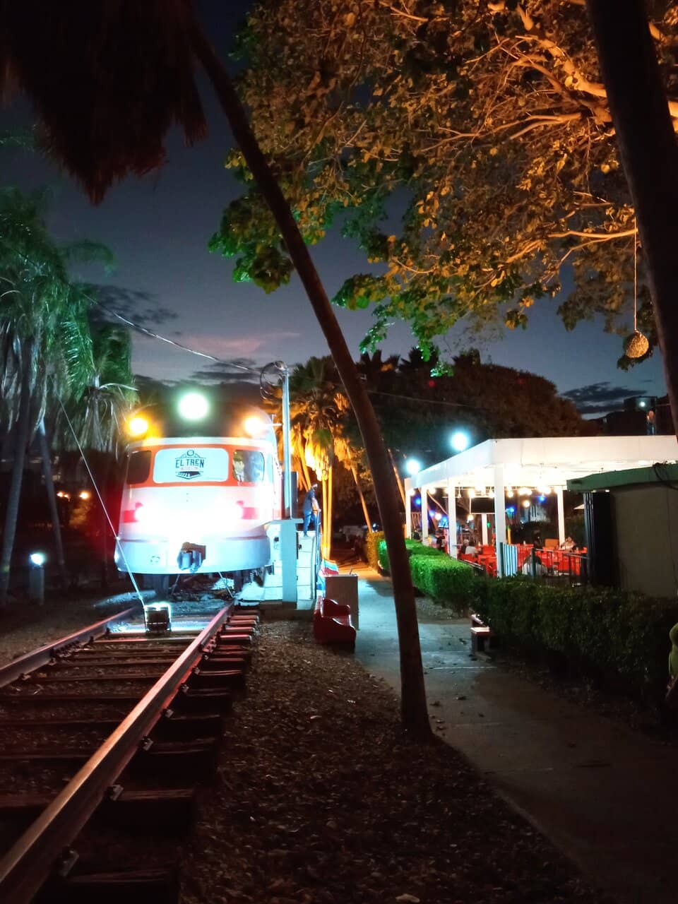 Dedicated Exercise Path