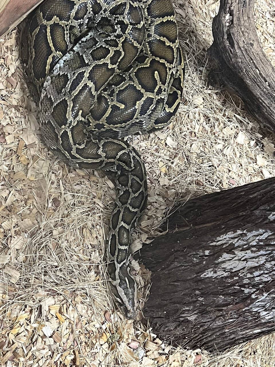Unique Florida Souvenirs