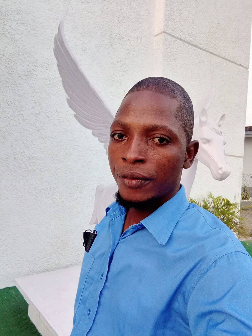 Restored Main Bowl & Stages