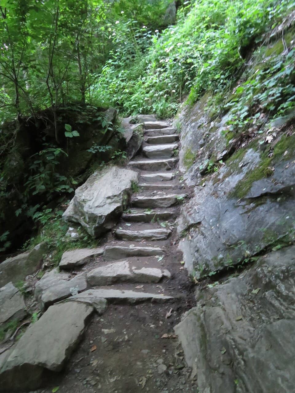 Deep Creek Waterfall Loop