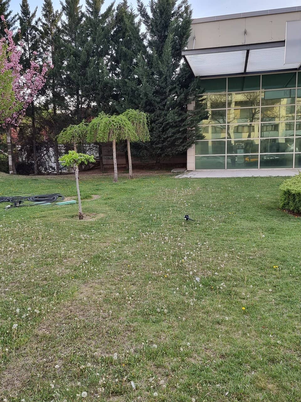 Amusement Park Thrills