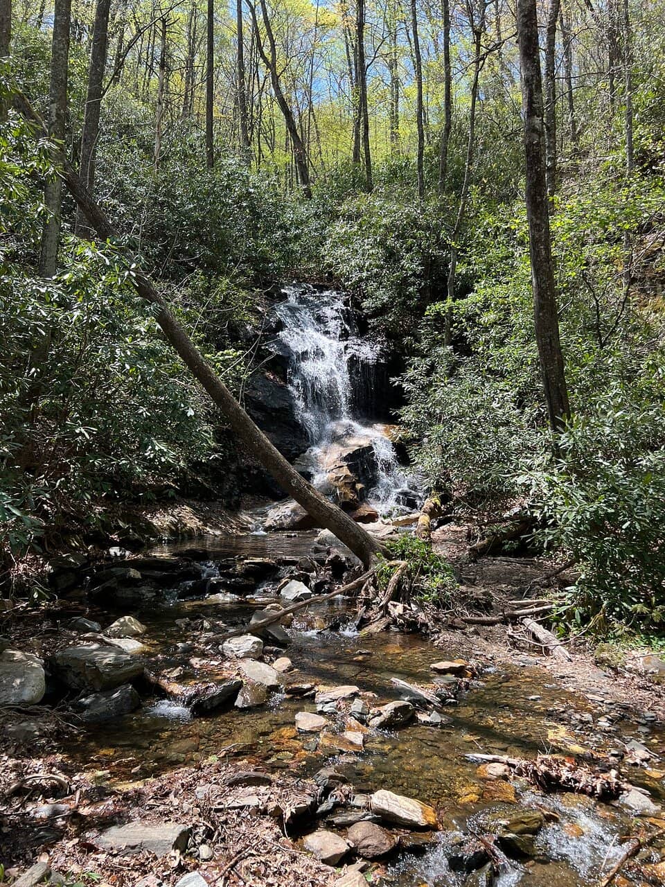 Upper Log Hollow Falls