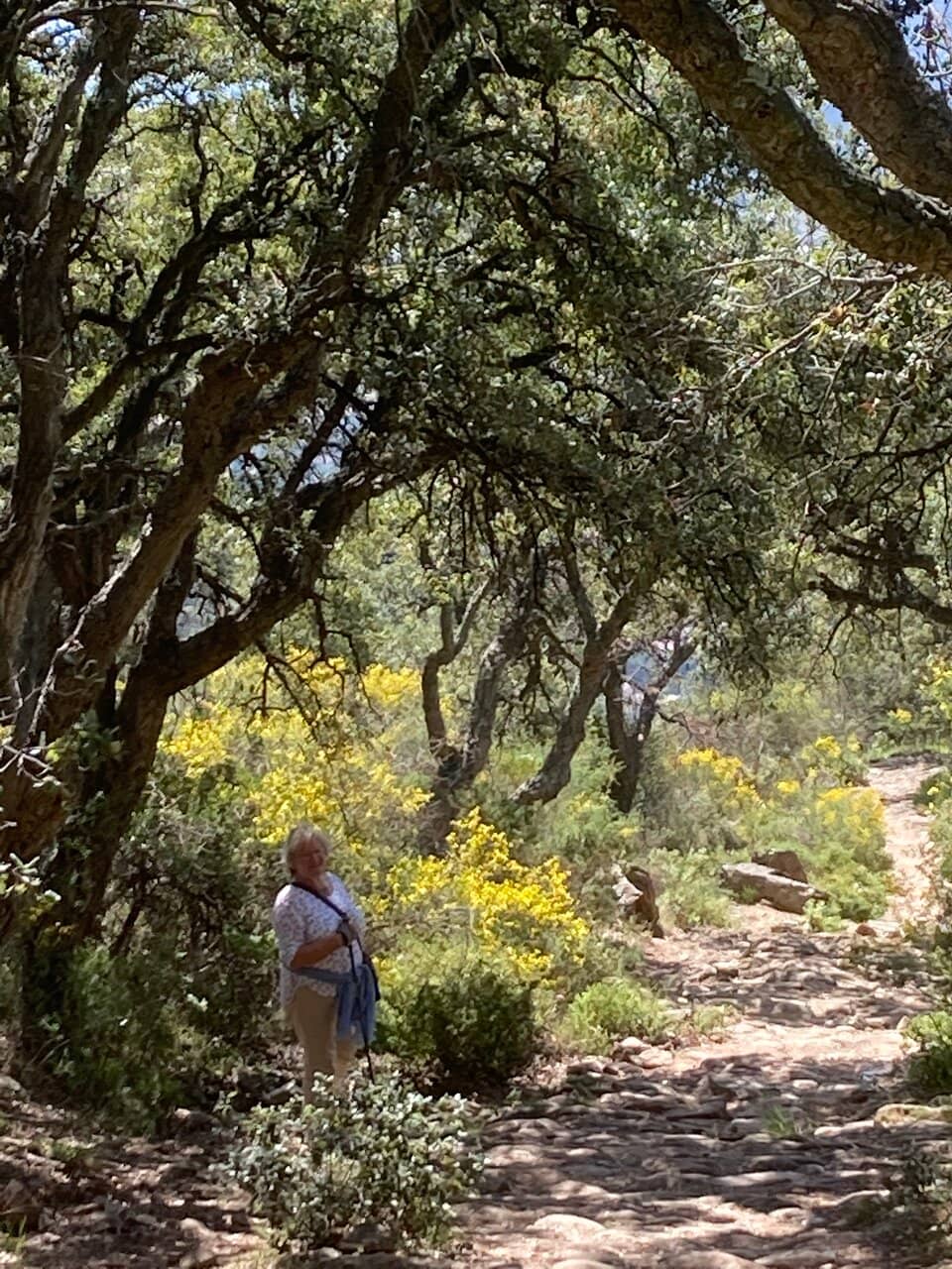 Votive Pillar Trail