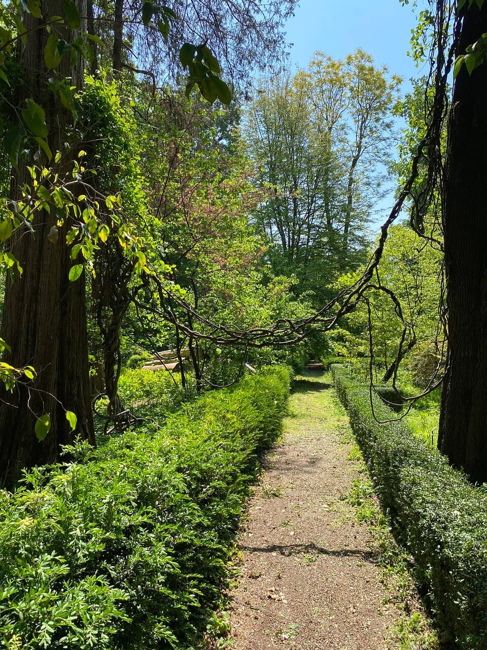 Wild and Overgrown Gardens
