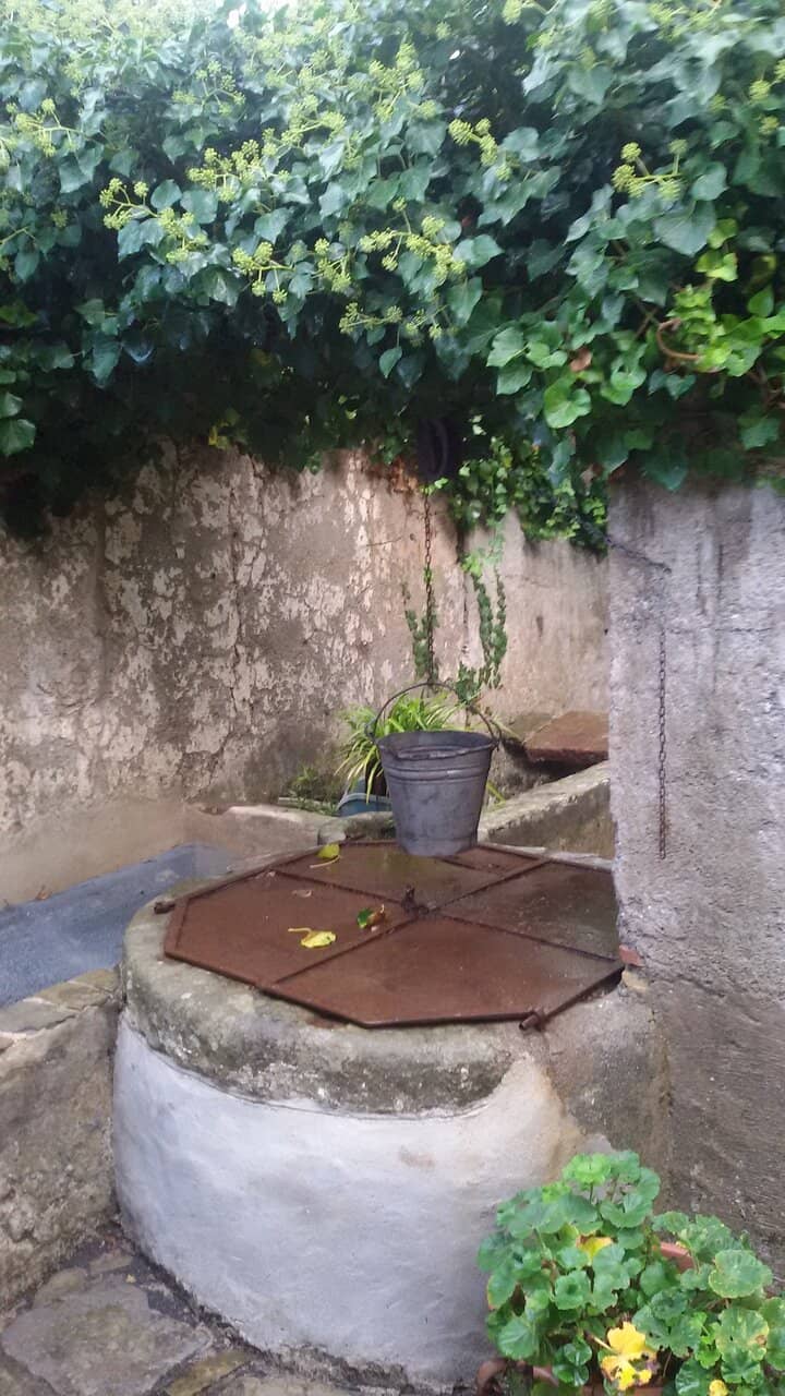 Serene Cemetery Views