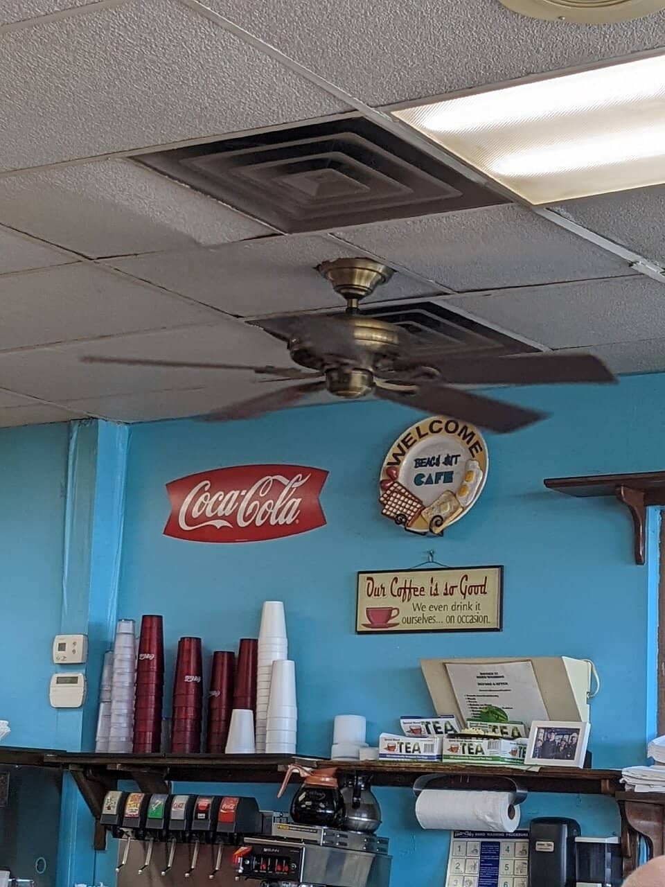 Dog-Friendly Atmosphere