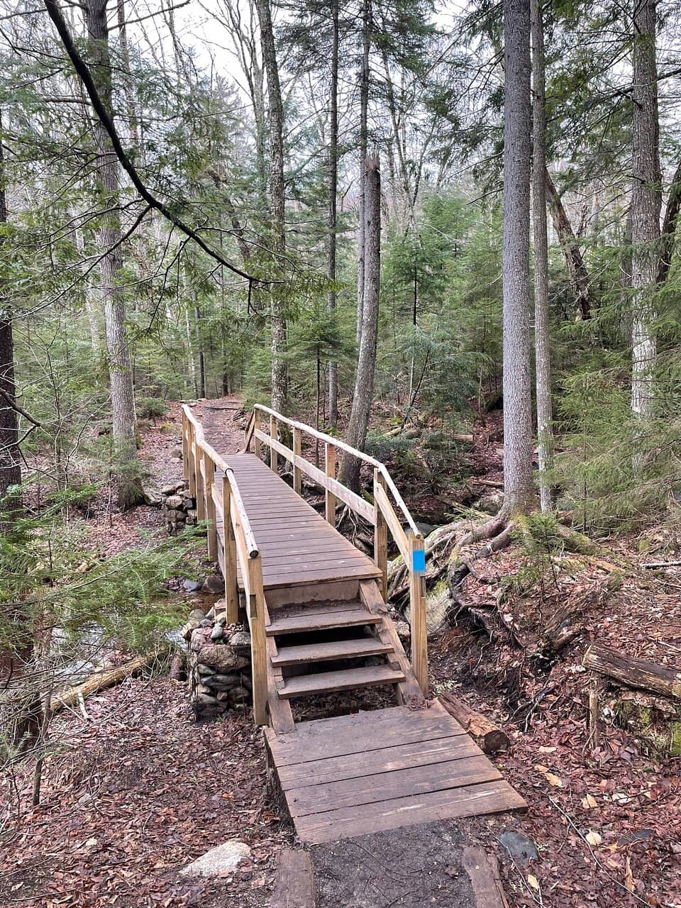 Bemis Brook Trail