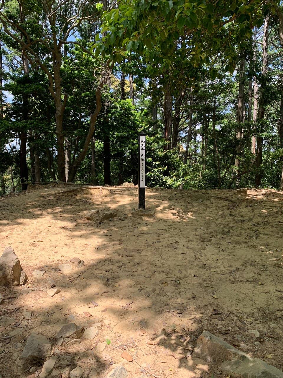 Tranquil Forest Trail