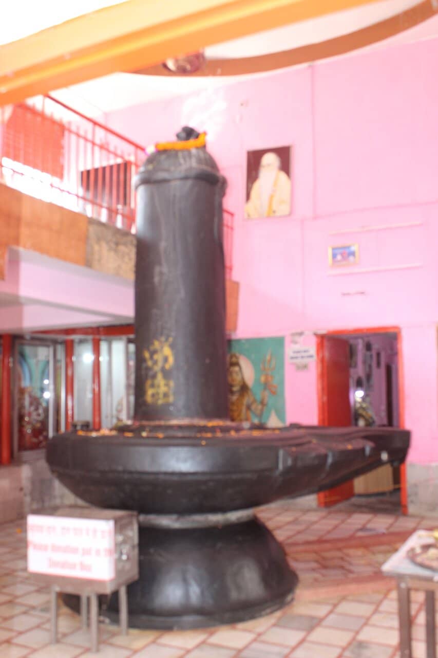 Buffalo Sculptures & Sacred Pond