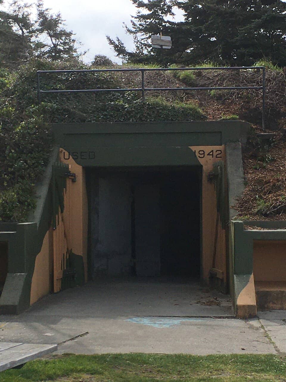 Beachcombing and Tide Pools