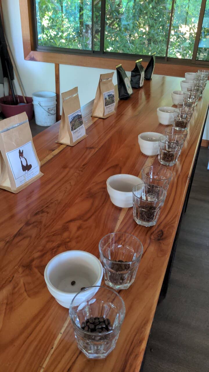 Maria's Passionate Guidance