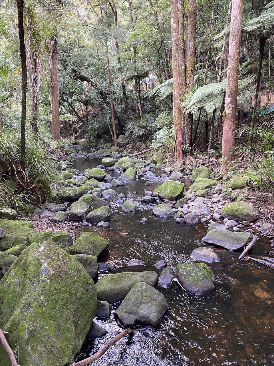 Whangārei Falls