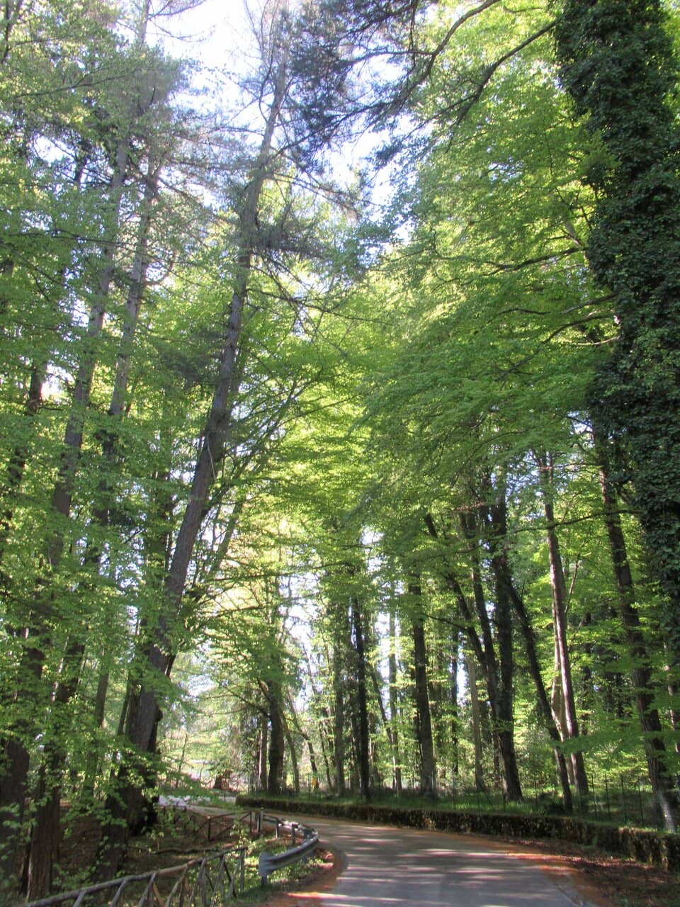 Deer Park (Parco dei Daini)