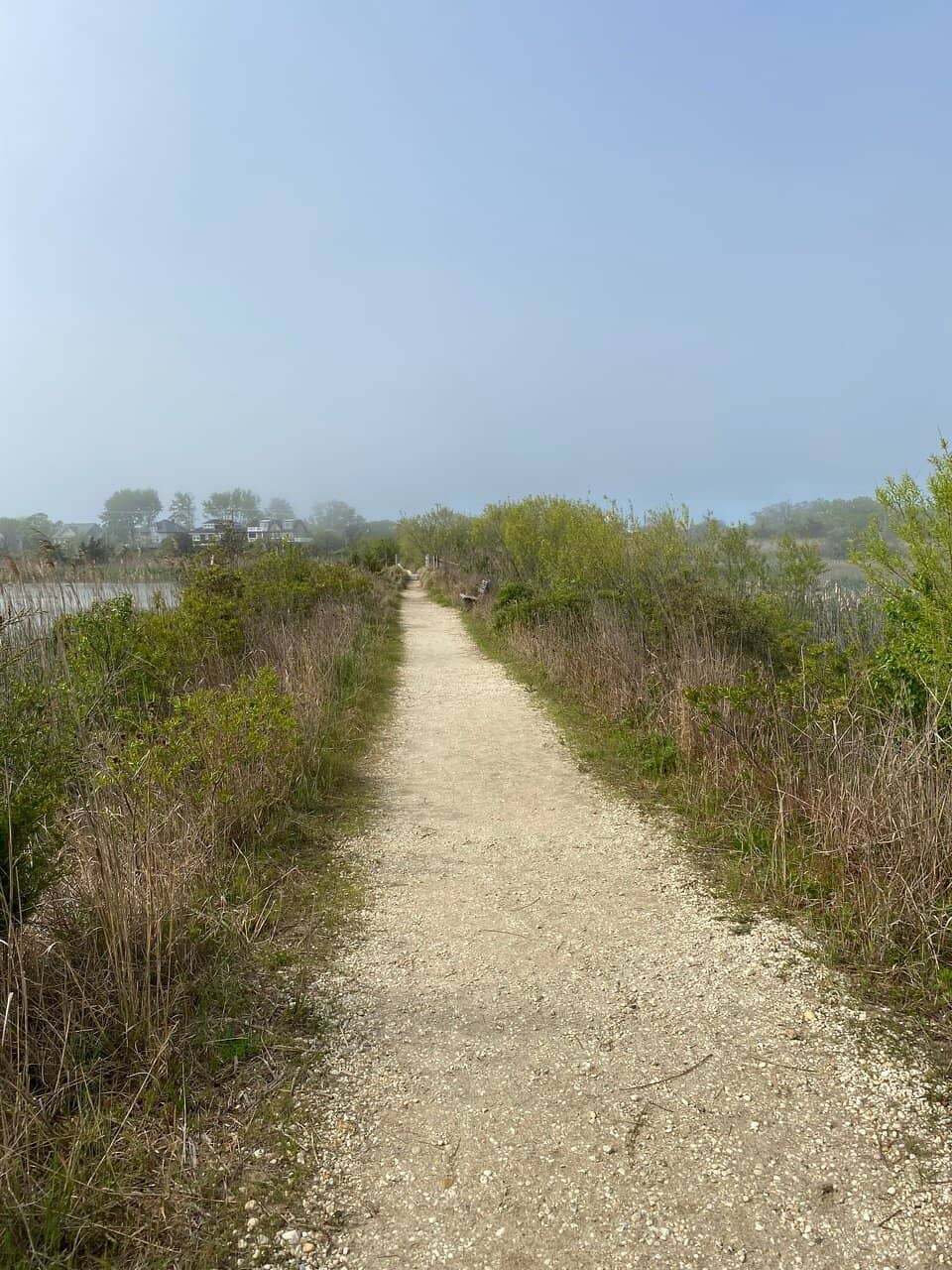 Wetland Ecosystems