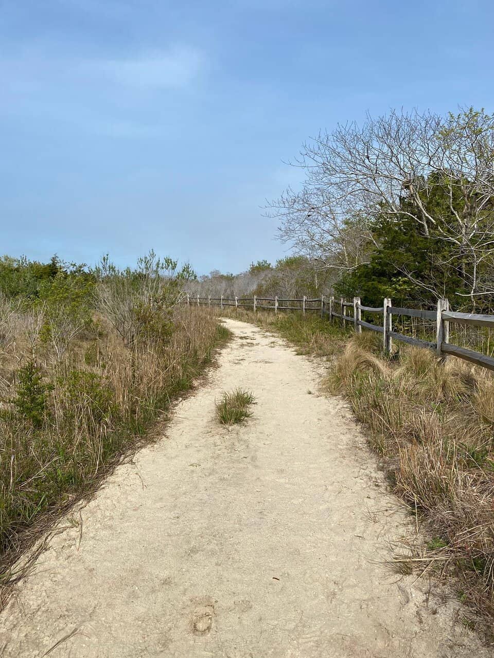 Oceanfront Trails