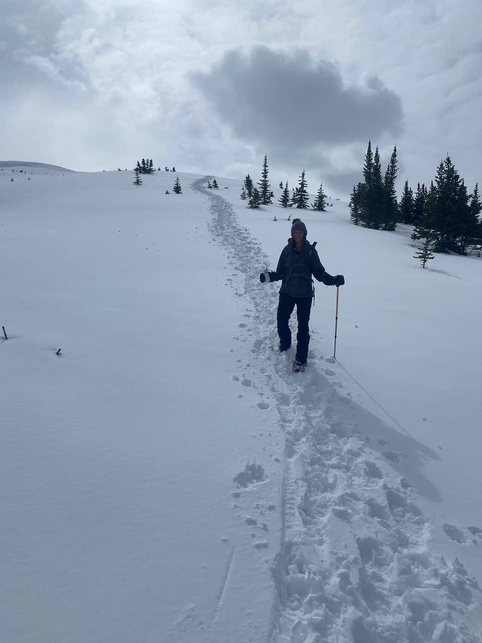 Panoramic Mountain Views