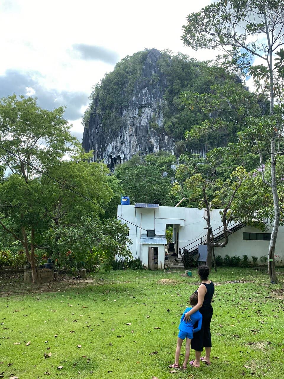 Vertical photo