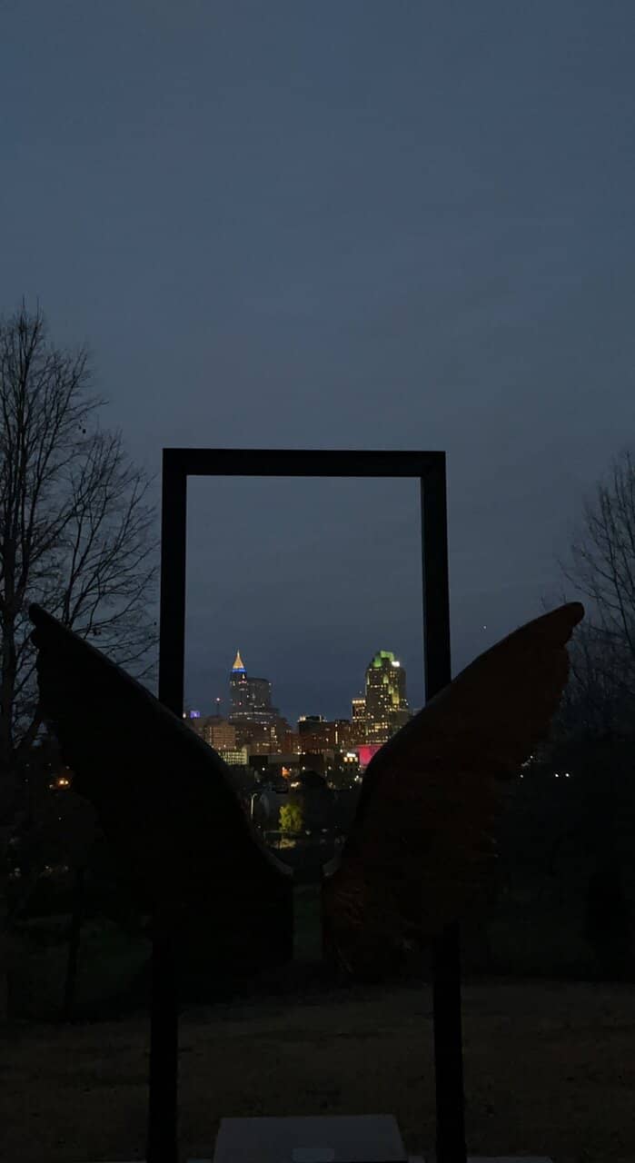 Skyline Views