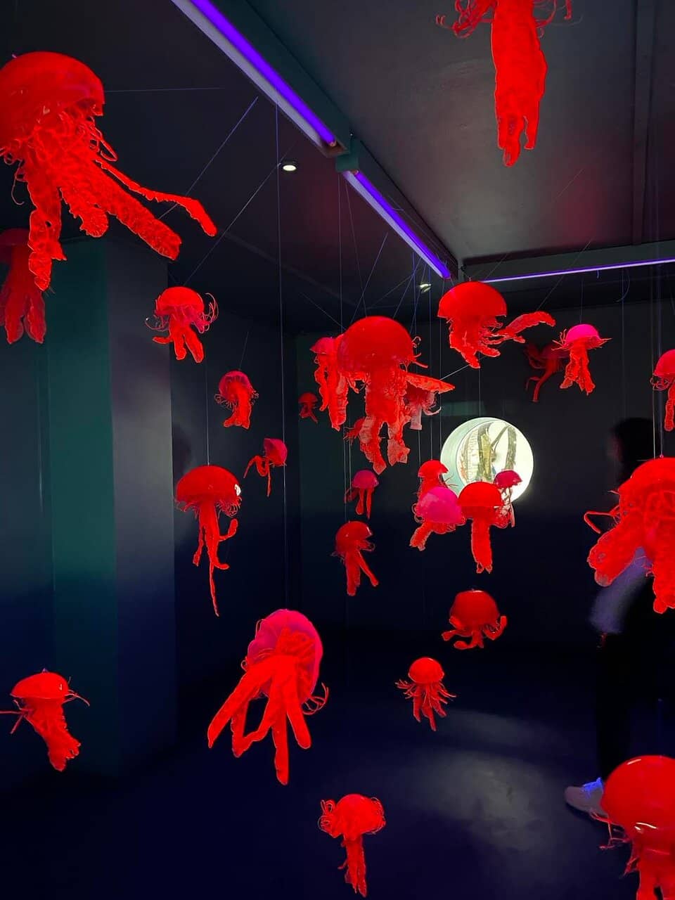 Family-Friendly Events