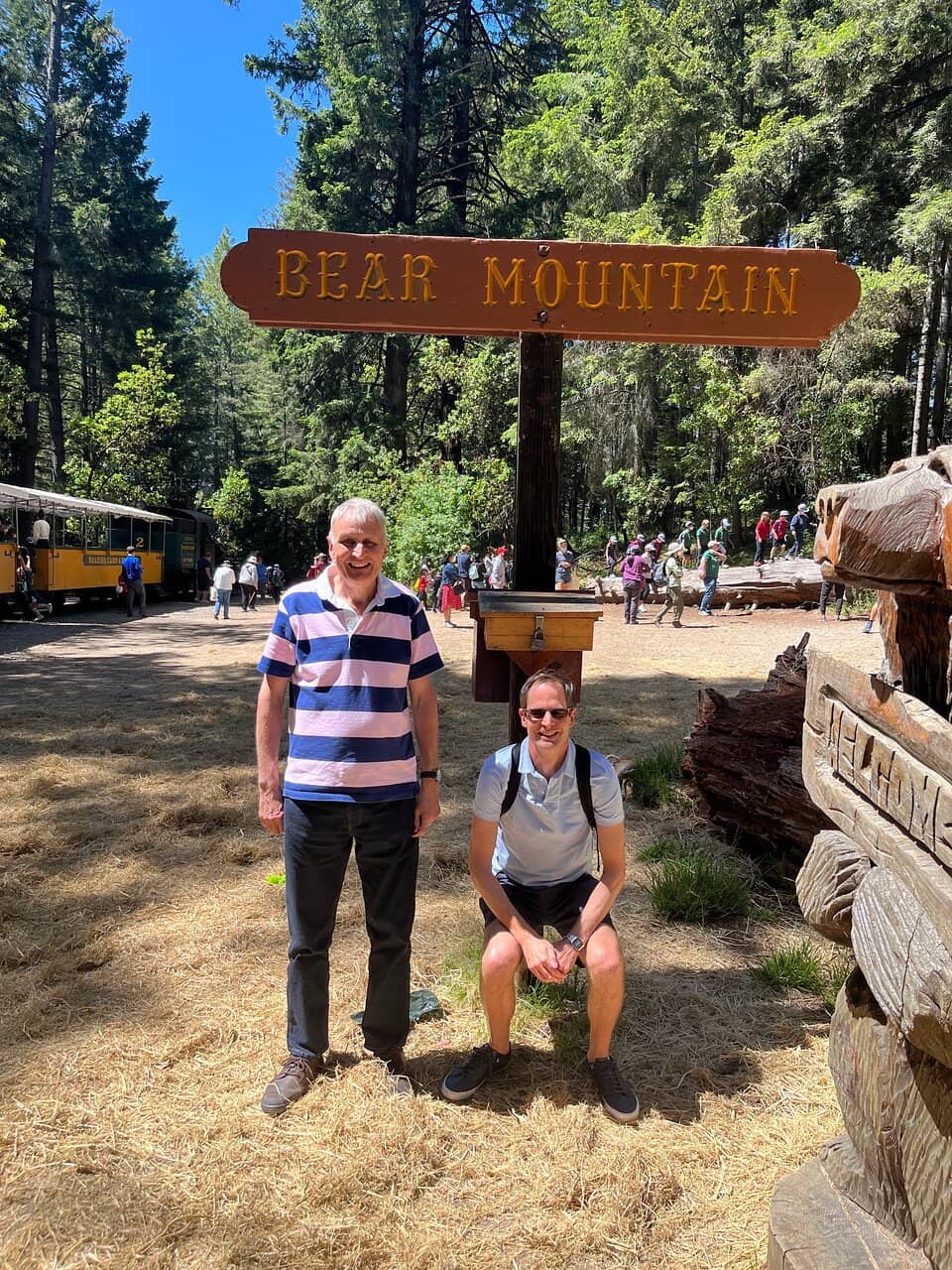 Sequoia Lights Installation