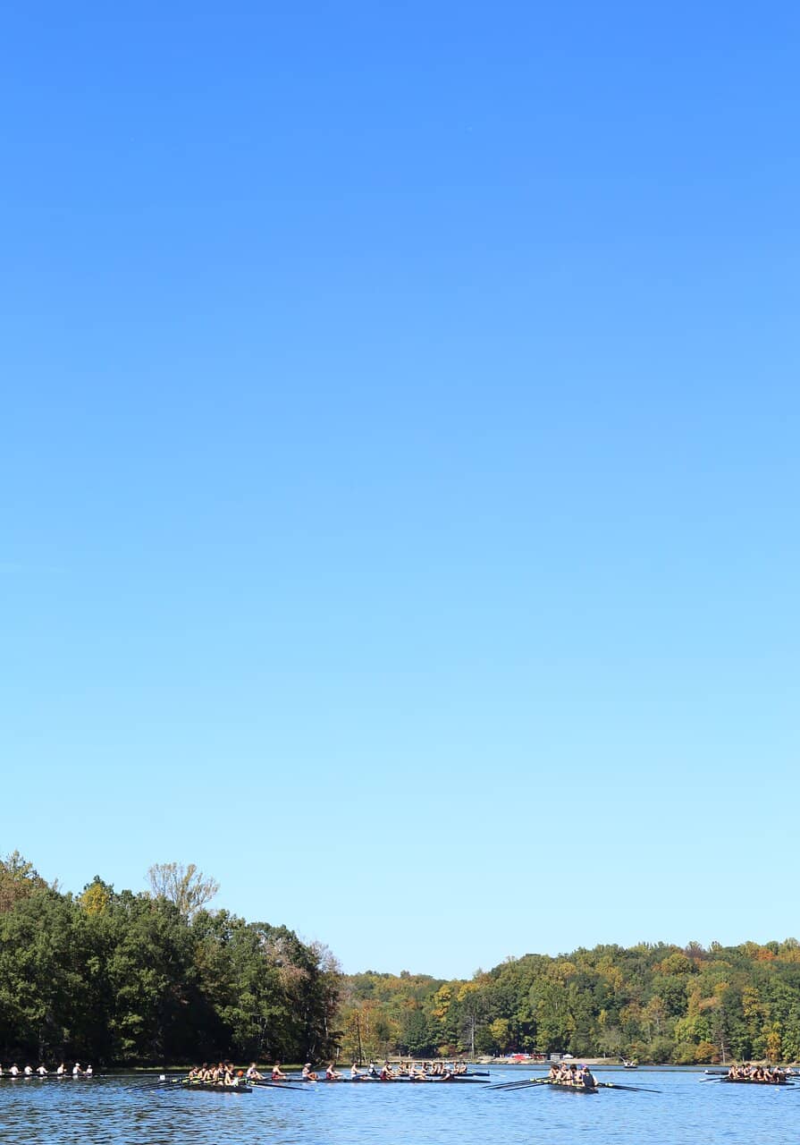 Turtle Overlook