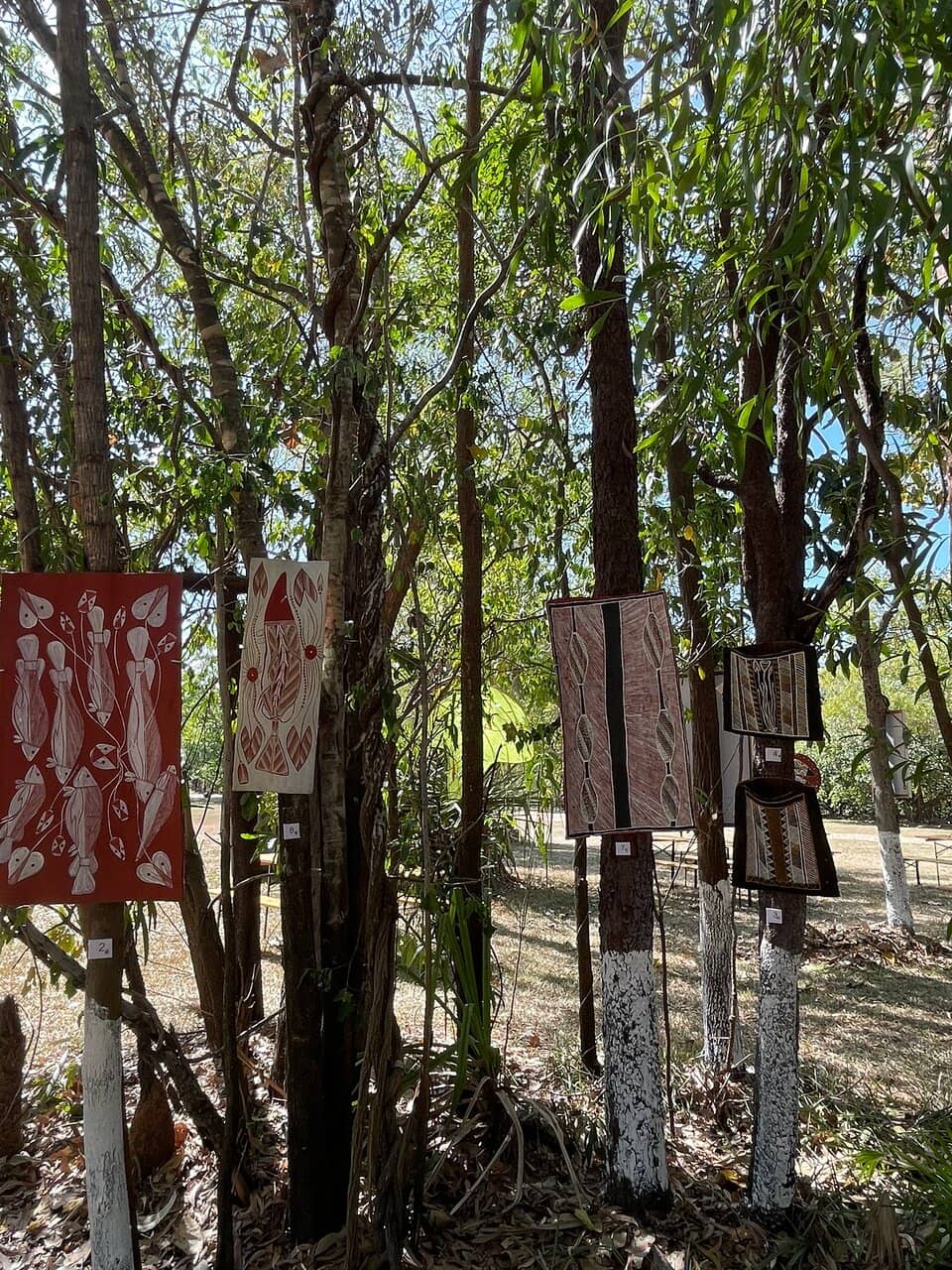 Frill-necked Lizard Spotting