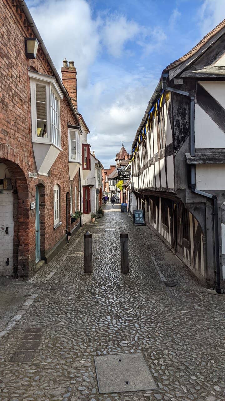 Live Performances