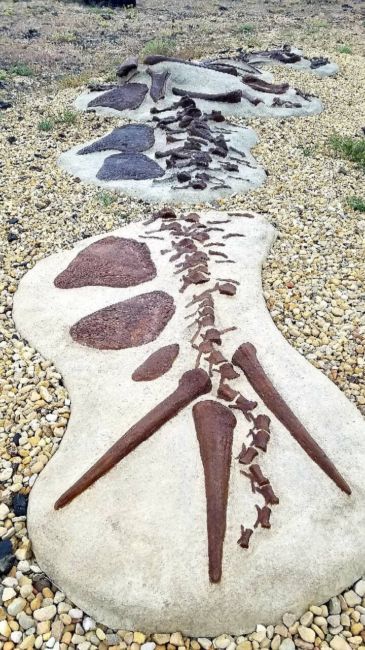 Dinosaur Statues & Trails