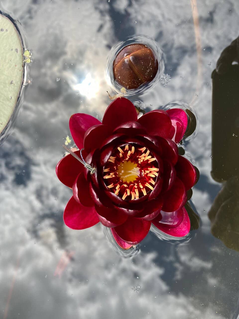 Vertical photo