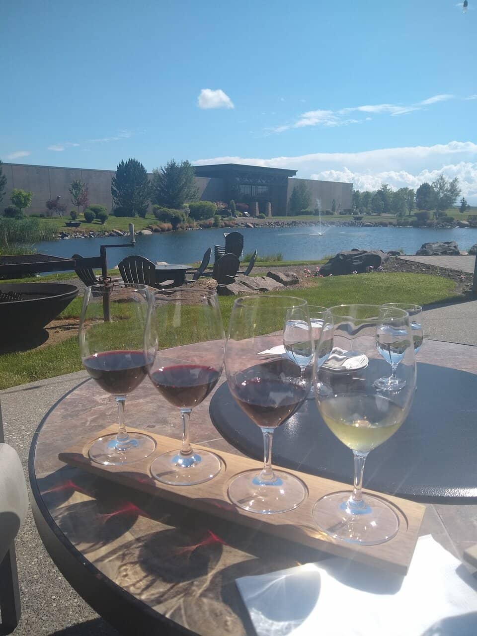 Refreshing Wine Slushies