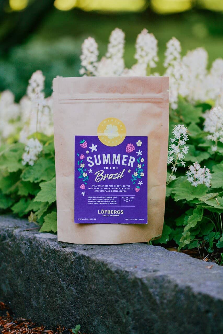 Melodifestivalen Rehearsals