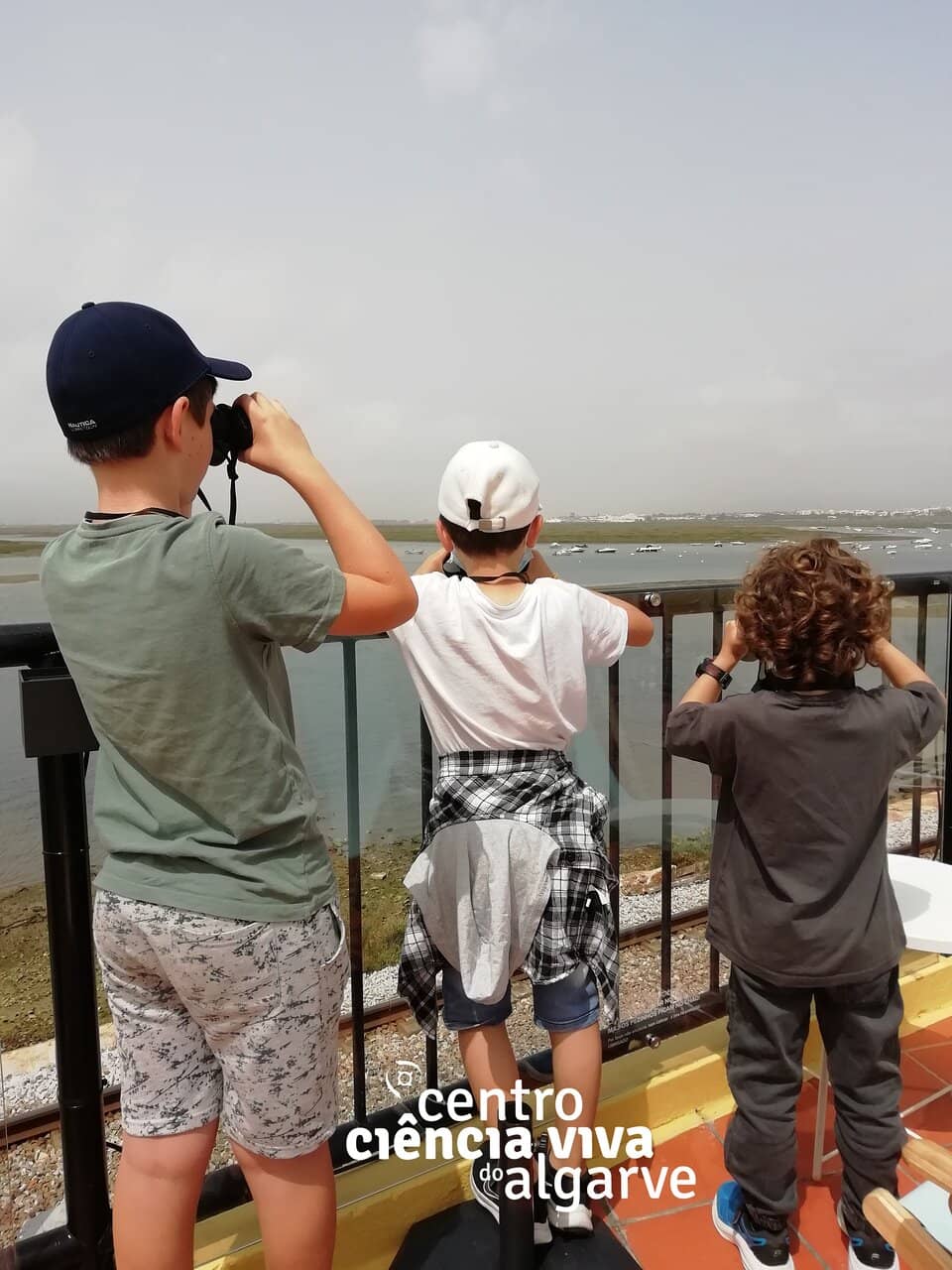 Vertical photo