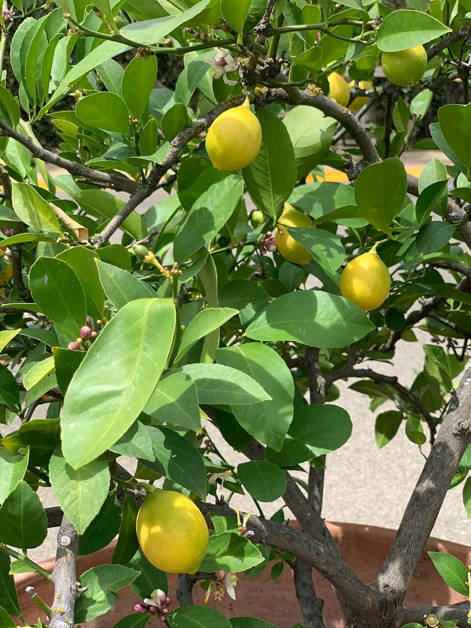 Signature Wine Tastings