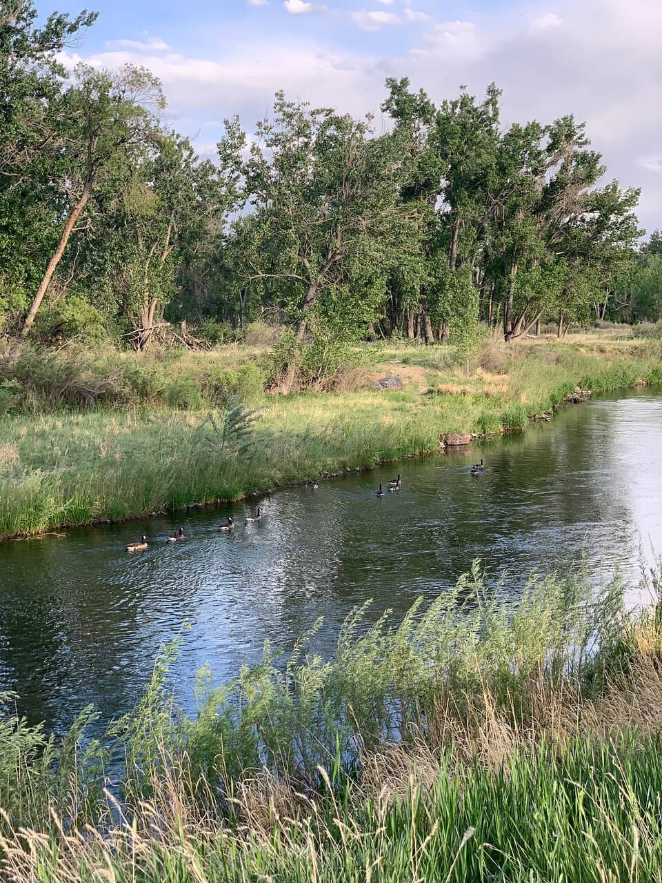 Strontia Springs Reservoir Hike