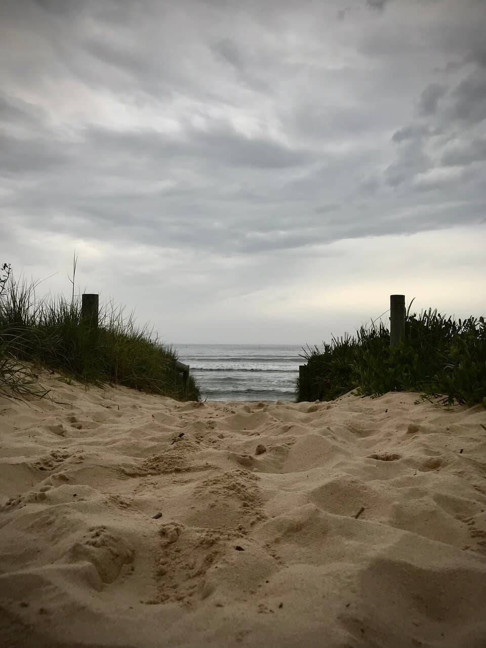 Vertical photo