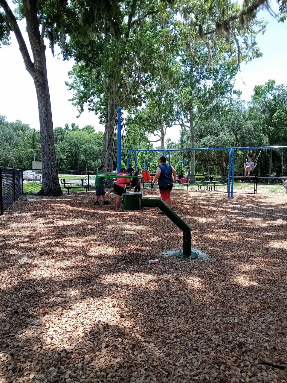 Vertical photo